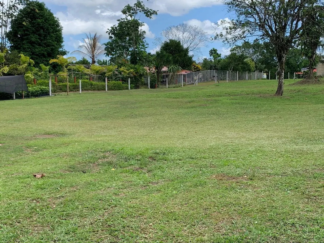 Lote plano con zacate verde, árboles y malla al fondo