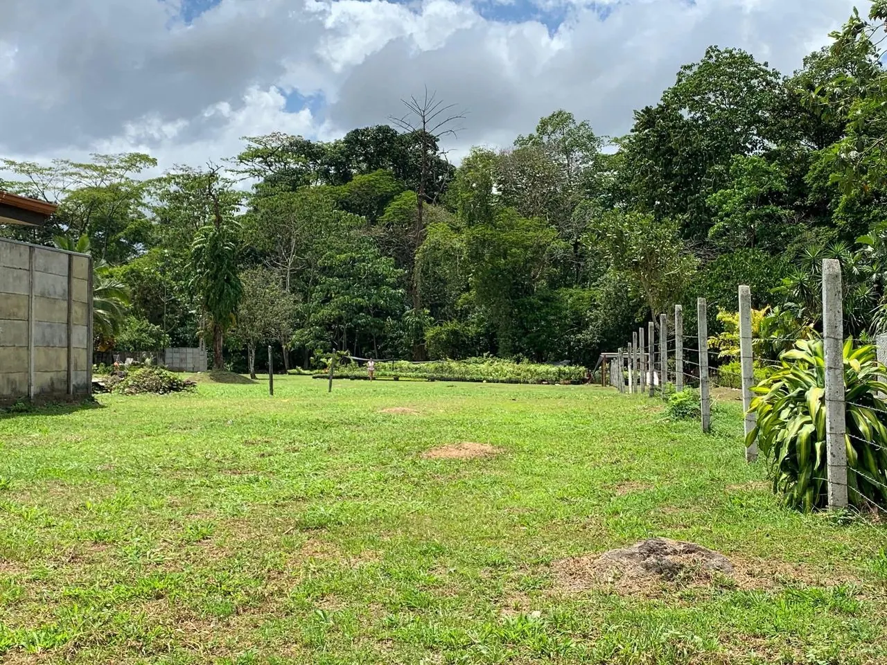 Vista del lote hacia los árboles del fondo