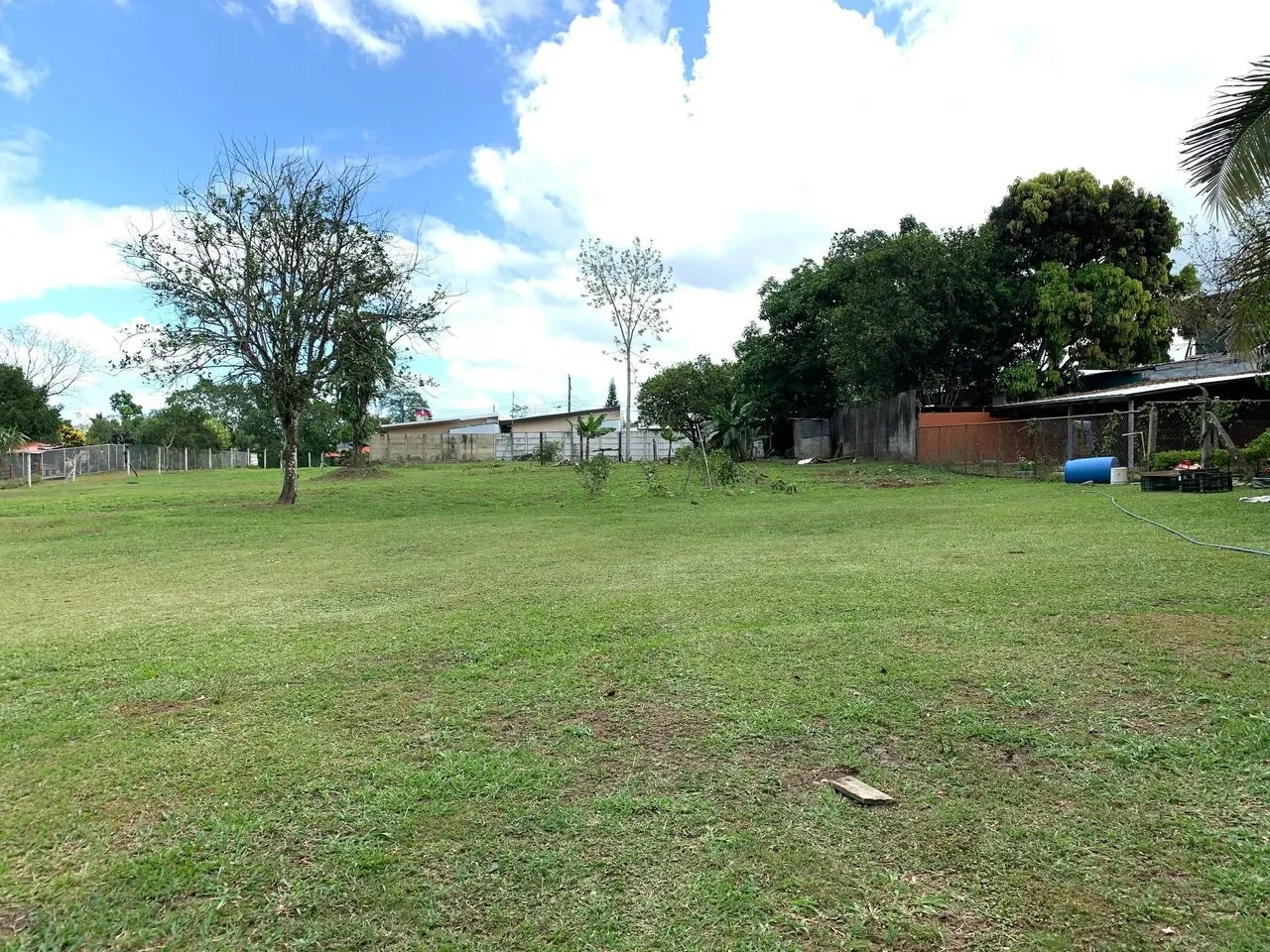 Lote con árboles grandes al fondo