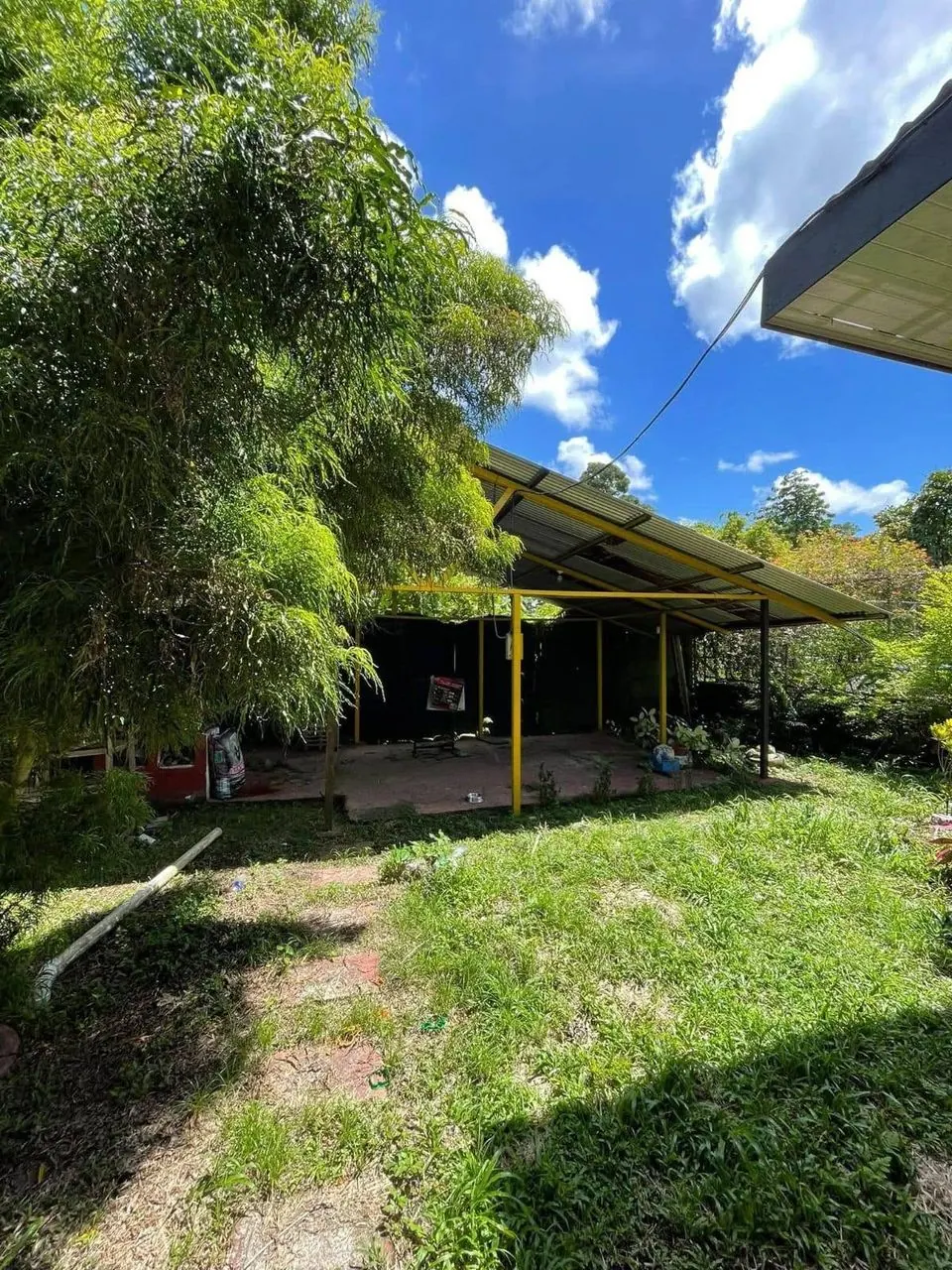 Rancho en el patio, entre la vegetación