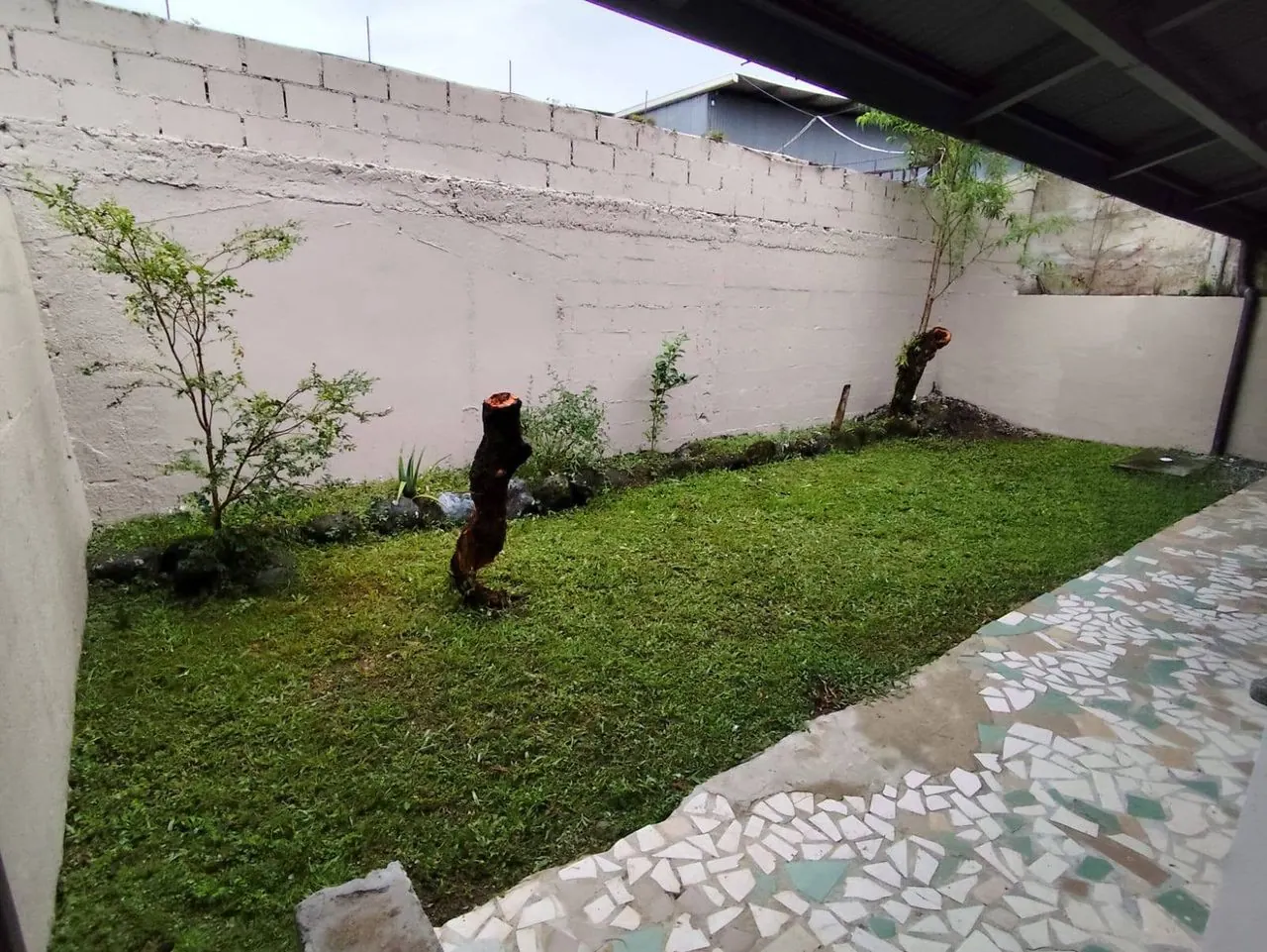 Jardín trasero con tapia