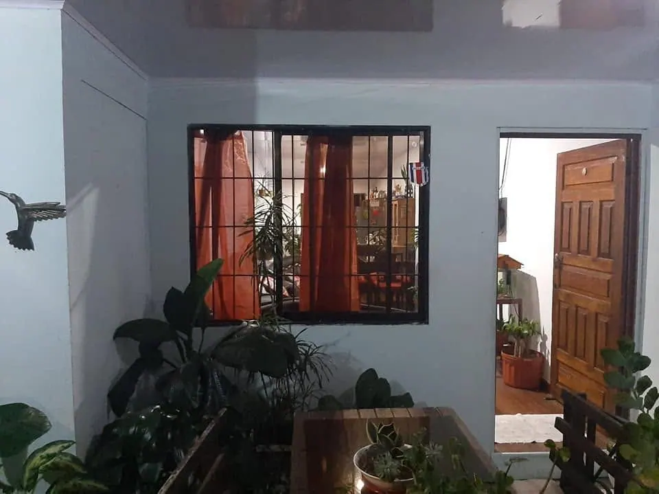 Pasillo con plantas