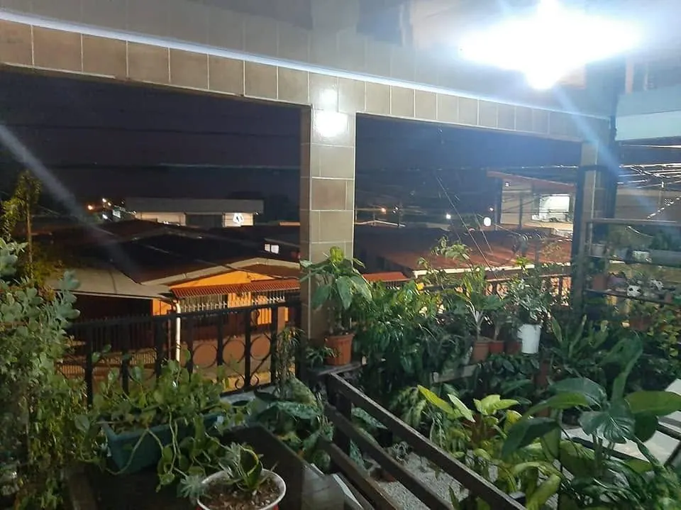 Balcón con plantas y vista de noche