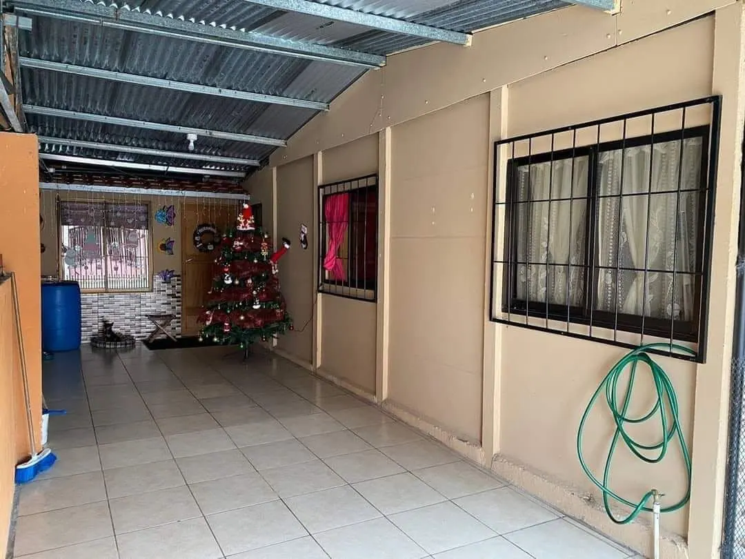 Corredor interno con árbol de Navidad