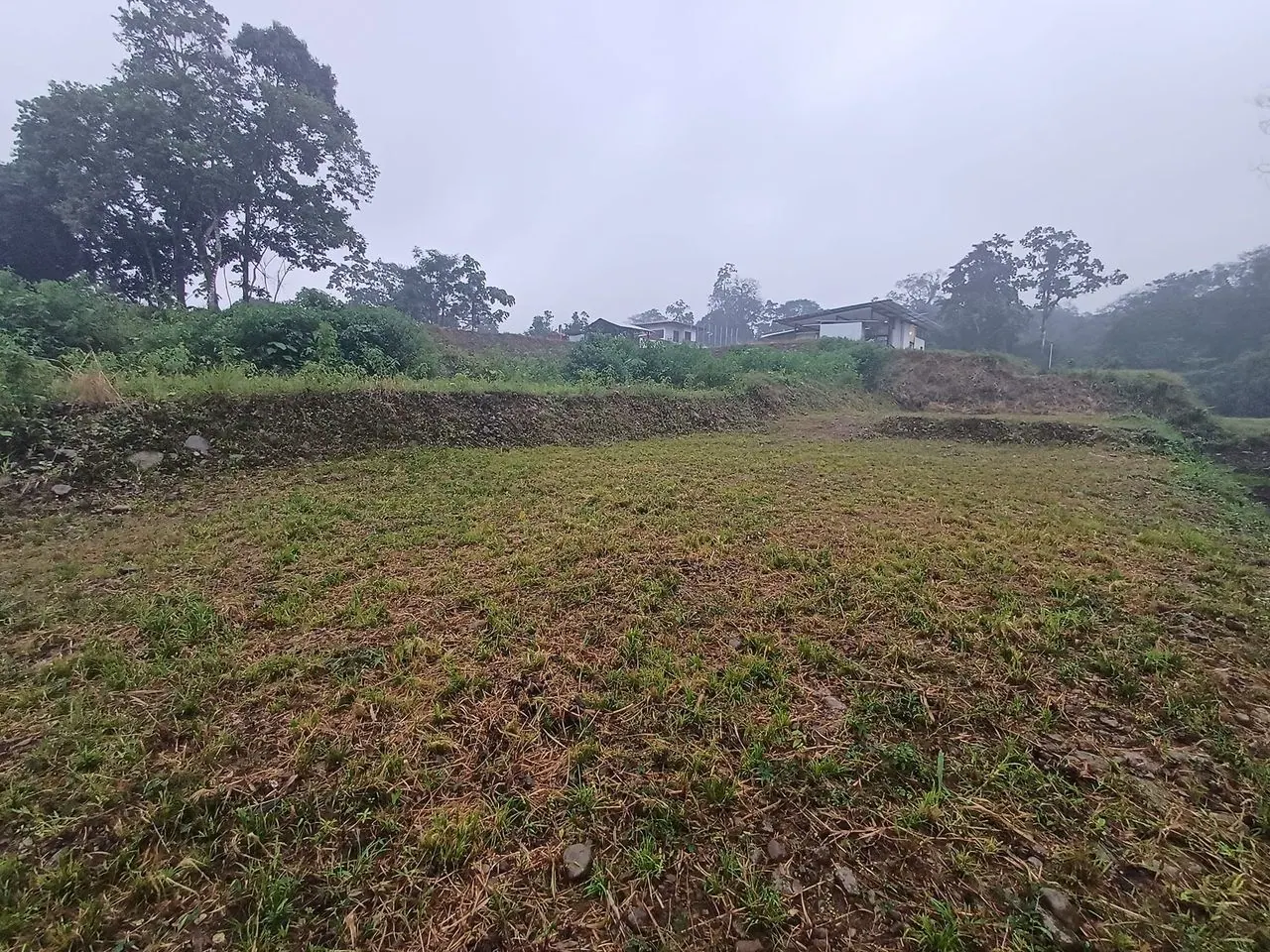 Lote con zacate en terraza y casas en la loma del fondo