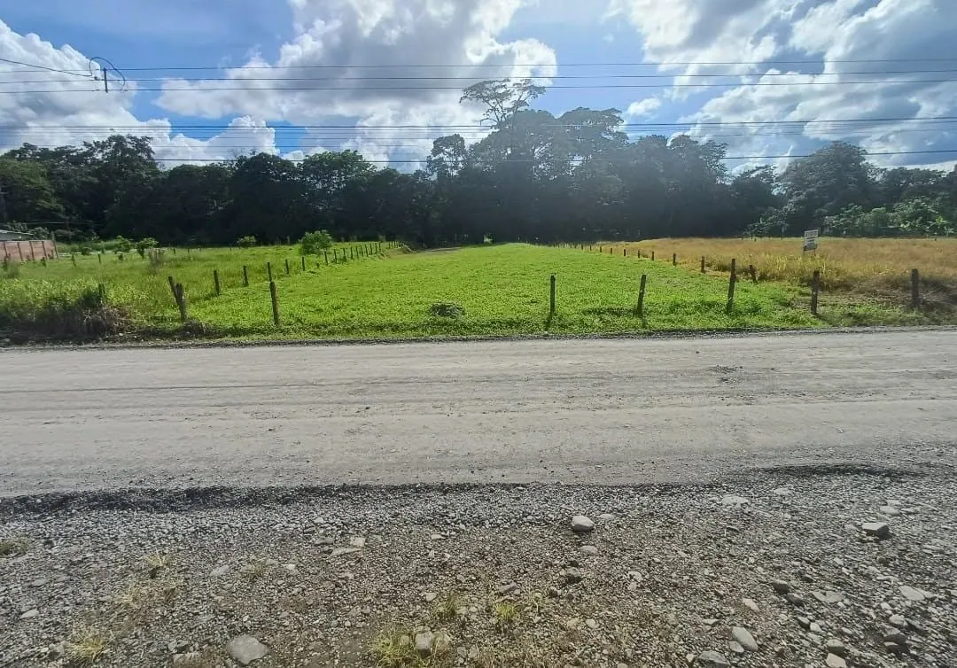 Lote verde con cerca de postes frente a calle de lastre