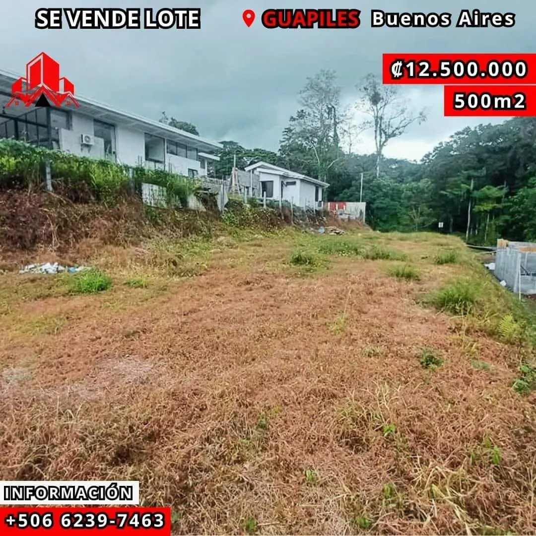 Arte de venta: lote en Buenos Aires, ₡12.500.000, 500 m²