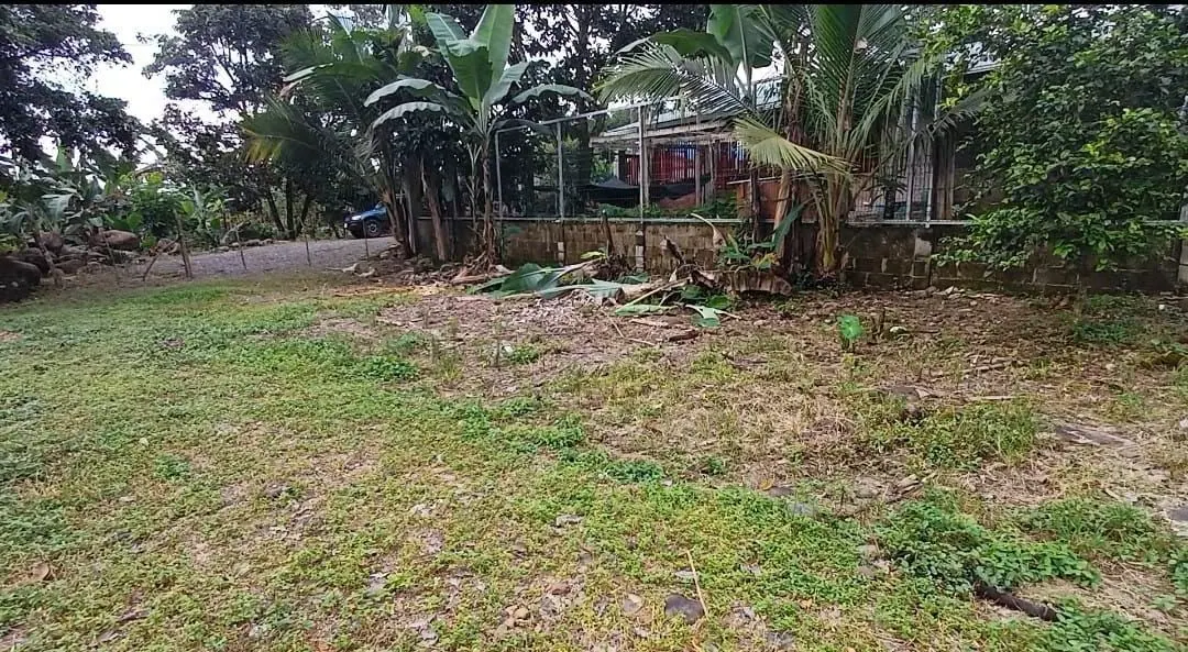 Frente del lote hacia la calle