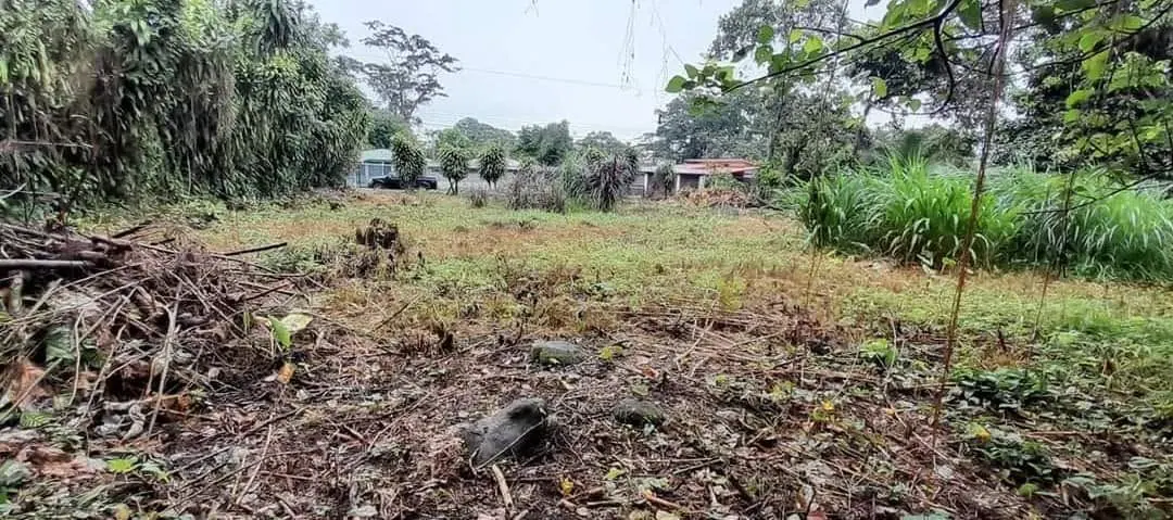 Vista del lote hacia las casas vecinas