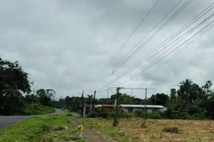 Terreno amplio de zacate frente a la calle con tendido eléctrico
