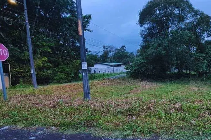 Lotes con zacate en una esquina con poste de luz y árboles al fondo