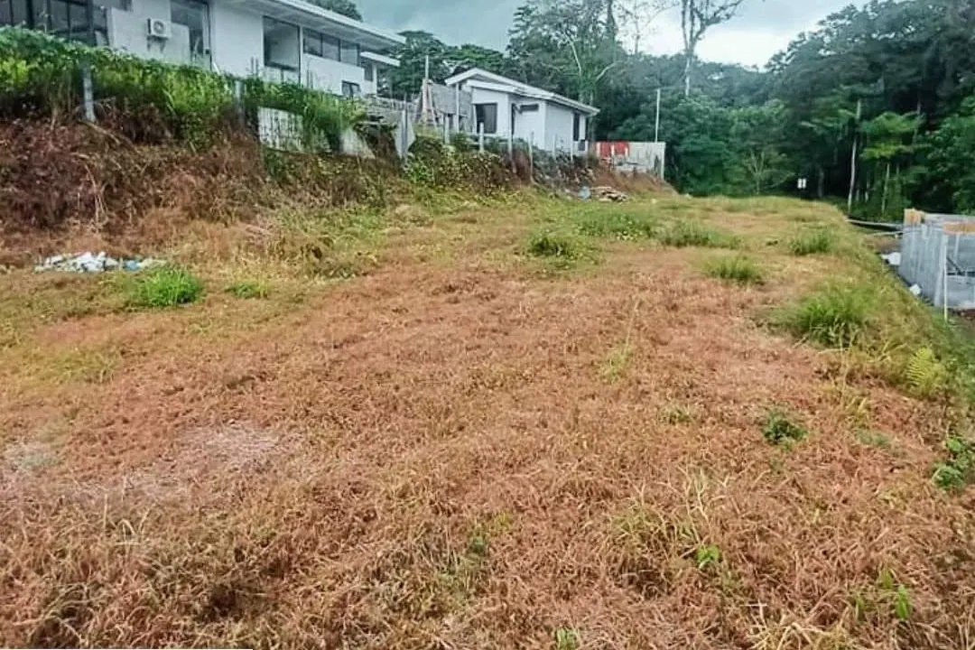 Lote con zacate seco junto a casas nuevas y montaña al fondo